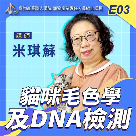 祖先查詢|免費家譜、族譜、家族史以及 DNA 檢測